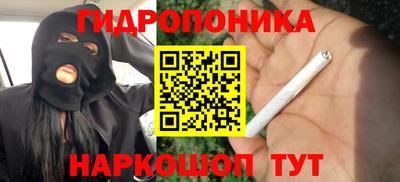 apvp Моздок
