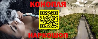 apvp Моздок