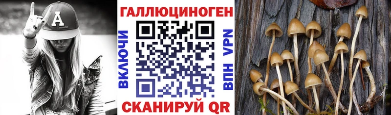 Псилоцибиновые грибы MAGIC MUSHROOMS  купить закладку  Черемхово 
