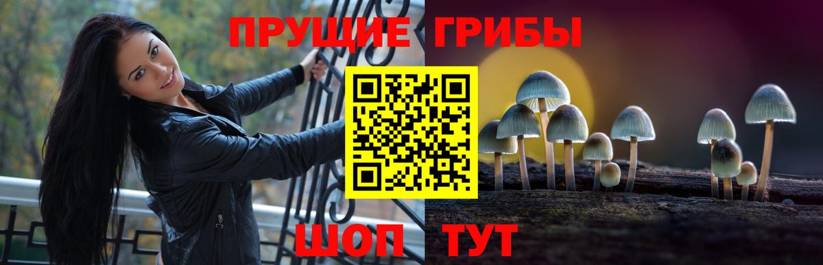 Галлюциногенные грибы прущие грибы  Вход с VPN  купить   Черемхово 